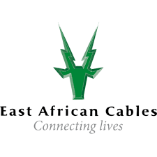 East Africa Cables